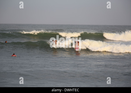 Surfen in der Nähe von Arugam Bay in Sri Lanka Stockfoto