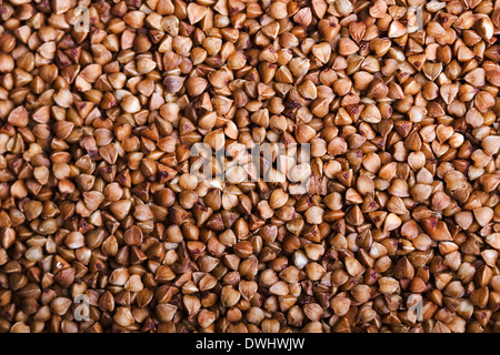 Buchweizen Grütze Hintergrund. Makro-Aufnahmen. horizontalen Rahmen Stockfoto