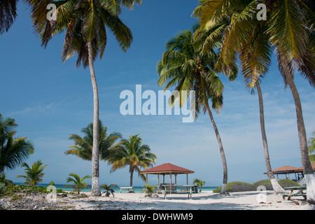 Belize, Karibik, Bezirk von Belize. Goff Caye, beliebte Barrier Reef Insel direkt an der Küste von Belize City. Stockfoto