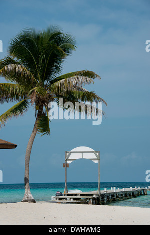 Belize, Karibik, Bezirk von Belize. Goff Caye, beliebte Barrier Reef Insel direkt an der Küste von Belize City. Stockfoto