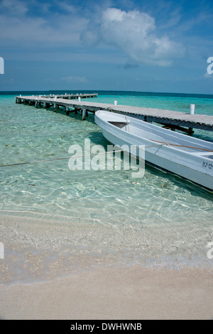 Karibik, Bezirk von Belize, Goff Caye, Belize, beliebte Barrier Reef Island nur abseits der Küste von Belize City. Stockfoto