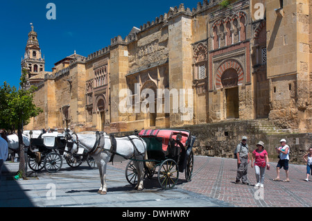 Arabische Moschee (Kathedrale) und Kutschen, Cordoba, Region von Andalusien, Spanien; Europa Stockfoto