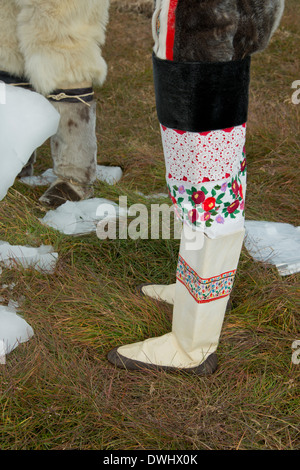 Grönland, Diskobucht, Saqqaq (alias Sarqaq oder Solsiden). Paar, im grönländischen Trachtenmode. Stockfoto