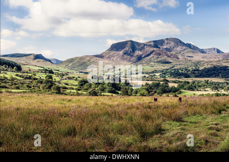 Blick auf Cader Idris North Wales UK an einem schönen Sommertag bilden die Seite die A470 Stockfoto