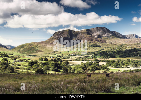 Blick auf Cader Idris North Wales UK an einem schönen Sommertag bilden die Seite die A470 Stockfoto