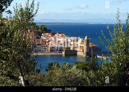 Schöne Dorf von Collioure an der Küste des Mittelmeeres im Süden von Frankreich, Roussillon, Pyrenäen Orientales Stockfoto