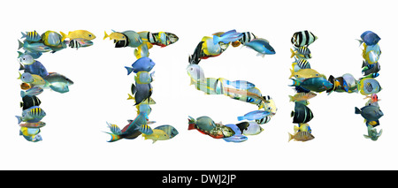 Das Wort setzt sich Fische aus vielen bunten tropischen Fischen isoliert auf weißem Hintergrund Stockfoto