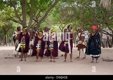 Traditioneller Tanz, Zulu-Dorf Stockfoto