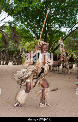 Traditioneller Tanz, Zulu-Dorf Stockfoto