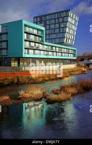 UK, South Yorkshire, Sheffield, Stadtzentrum, fünf Wehre gehen, moderne Bürogebäude neben Fluss Don Stockfoto