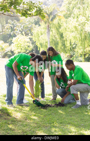 Umweltschützer Gartenarbeit im park Stockfoto