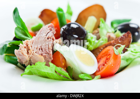 Salat von Thunfisch, Eiern und frischem Gemüse Stockfoto