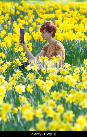 Eine Mädchen liest ein Ebook auf dem Lande, umgeben von Narzissen Stockfoto