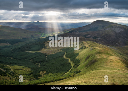 Am frühen Morgen Wellen von Licht über Beddgelert Wald und Moel Hebog, Snowdonia, Nordwales Stockfoto