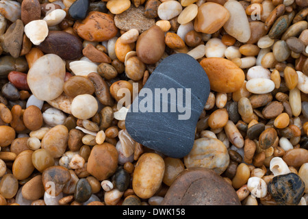 Steinchen aus dem Ozean Stockfoto