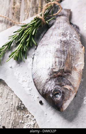 Dorado Rohfisch mit Rosmarin und Meer Salz Server auf weißem Papier über alten Holztisch. Stockfoto