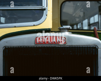 Leyland Bus Logo auf einem Titan PD2/40 Stockfoto