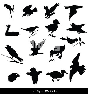 Schwarze Silhouetten der Vögel für Ihr design Stockfoto