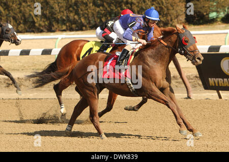 Jamaica, New York, USA. 1. März 2014. Umreifen Bräutigam mit Irad Ortiz, Jr., sind Gewinner in der 39. Tom Fool Handicap für 3 - jährige und up, Los 6 Stadien der inneren Schmutz am Aquädukt Racetrack. Trainer: David Jacobson. Besitzer: Zeichnung entfernt Stall & David Jacobson. Sue Kawczynski/Eclipse/ZUMAPRESS.com/Alamy © Live-Nachrichten Stockfoto