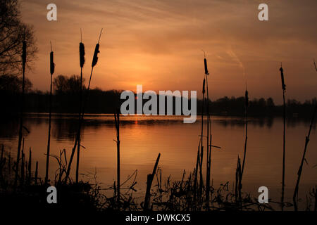 Peterborough, Cambridgeshire, Großbritannien. 10. März 2014.  Eine schöne morgens kurz nach Sonnenaufgang am Ferry Wiesen, ist Peterborough, Cambridgeshire, als Overton See in ein orangefarbenes Licht getaucht. Bild: Paul Marriott Fotografie/Alamy Live-Nachrichten Stockfoto