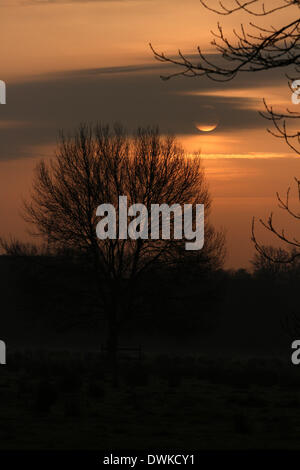 Peterborough, Cambridgeshire, Großbritannien. 10. März 2014.  Verdecken Sie eines schönen Morgens kurz nach Sonnenaufgang am Ferry Wiesen, Peterborough, Cambridgeshire, als Wolken Teil der Sonne. Bild: Paul Marriott Fotografie/Alamy Live-Nachrichten Stockfoto