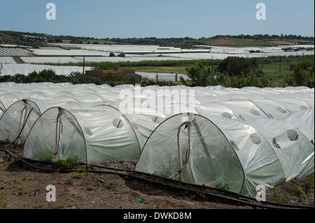 Gewächshäuser, Portopalo Stockfoto