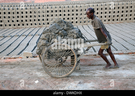 Ziegel-Feld. Arbeiter sind Böden aus dem Fluss tragen und halten sie in der Backstein-Gebiet in Sarberia, Indien Stockfoto