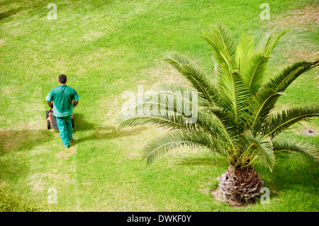 Mann arbeitet in einem exotischen Garten. Stockfoto