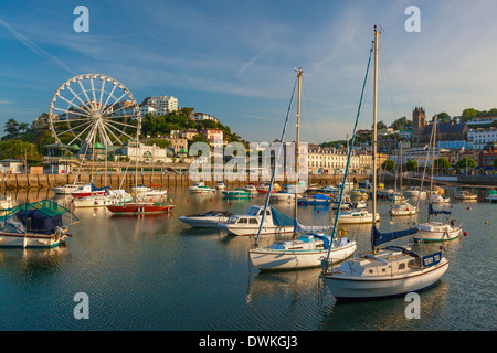 Hafen von Torquay, Devon, England, Vereinigtes Königreich, Europa Stockfoto