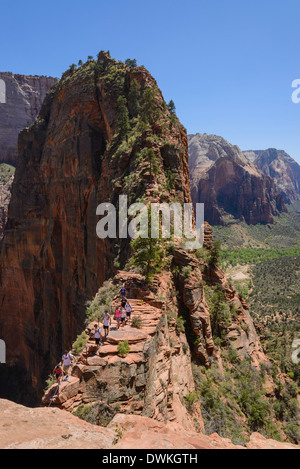 Trail zu Angels Landing, Zion Nationalpark, Utah, Vereinigte Staaten von Amerika, Nordamerika Stockfoto