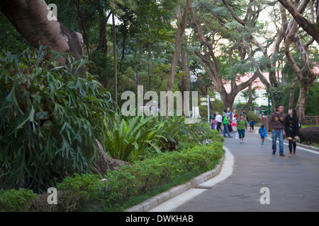 Hong Kong zoologische und botanische Gärten, Admiralität, Hong Kong Island, Hongkong, China, Asien Stockfoto