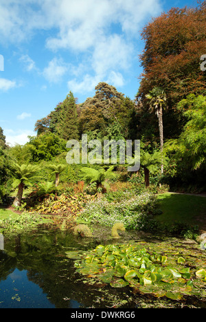 Trebah Gardens in der Nähe von Mawnan Smith in Cornwall, Großbritannien Stockfoto