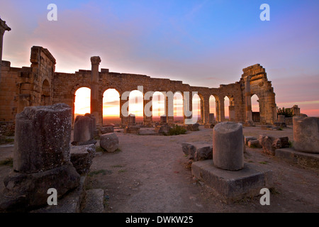 Ausgegrabenen römischen Stadt Volubilis, UNESCO World Heritage Site, Marokko, Nordafrika, Südafrika Stockfoto