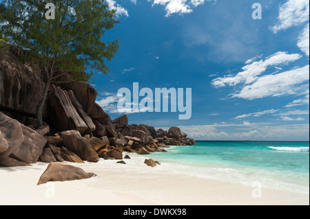 Grand Anse Strand, La Digue, Seychellen, Indischer Ozean, Afrika Stockfoto