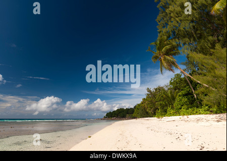 Anse Severe Beach, La Digue, Seychellen, Indischer Ozean, Afrika Stockfoto