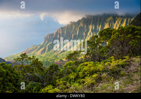 Kalalau Lookout über die Napali Küste aus dem Kokee State Park, Kauai, Hawaii, Vereinigte Staaten von Amerika, Pazifik Stockfoto