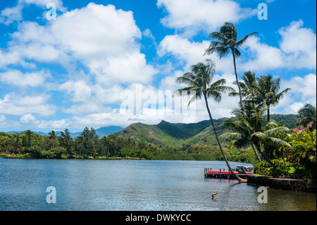 Wailua River. Kauai, Hawaii, Vereinigte Staaten von Amerika, Pazifik Stockfoto