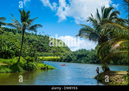 Wailua River. Kauai, Hawaii, Vereinigte Staaten von Amerika, Pazifik Stockfoto