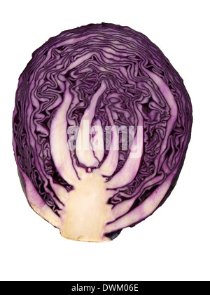 Rot Kohl Ausschneiden Stockfoto