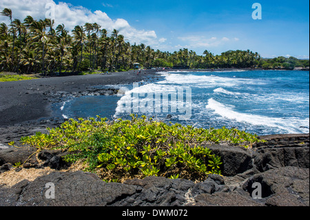 Punaluu Black Sand Beach auf Big Island, Hawaii, Vereinigte Staaten von Amerika, Pazifik Stockfoto