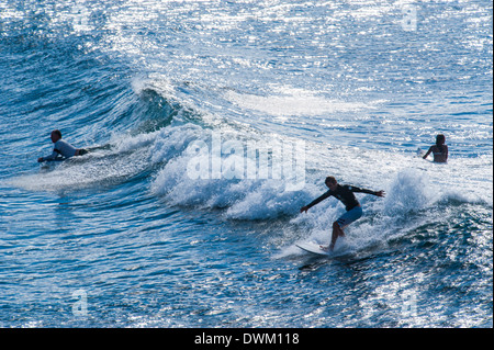 Surfer am Hookipa Beach Park, Paai, Maui, Hawaii, Vereinigte Staaten von Amerika, Pazifik Stockfoto