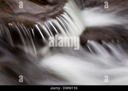 Wasserfall im Scaleber Beck unter Scaleber Kraft, Settle, North Yorkshire, England, Vereinigtes Königreich, Europa Stockfoto