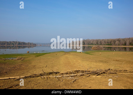 Am frühen Morgen Landschaft am Kabini See, Nagarhole Nationalpark, Karnataka in Südindien Stockfoto