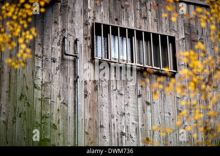 Fenster auf Holzwand. Stockfoto