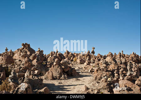 Arequipa, Chivay, Salinas und Aguada Blanca National Reservierung Stockfoto