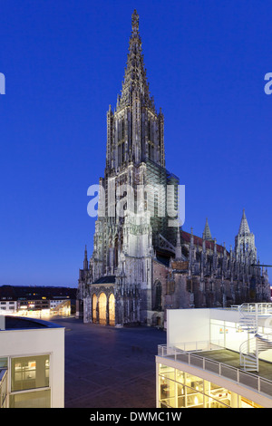 Ulmer Münster (Münster) und Stadthaus Galerie, Ulm, Baden-Württemberg, Deutschland, Europa Stockfoto