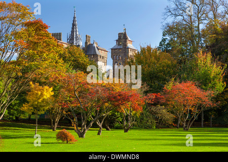 Cardiff Castle, Bute Park, Cardiff, Wales, Vereinigtes Königreich, Europa Stockfoto