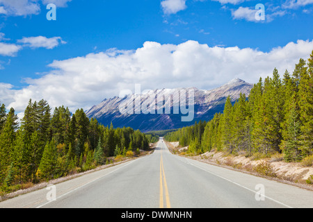 Der Icefields Parkway Straße Autobahn durch Jasper National Park, UNESCO World Heritage Site, Alberta, kanadischen Rocky Mountains, Kanada Stockfoto