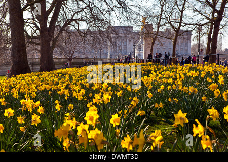 Die schöne Aussicht auf Buckingham Palast von St. James Park im Frühjahr. Stockfoto