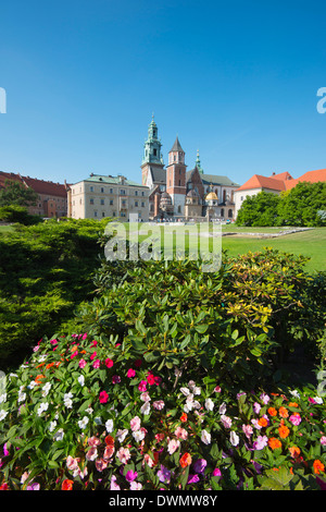 Wawel-Hügel-Schloss und Kathedrale, UNESCO-Weltkulturerbe, Krakau, Kleinpolen, Polen, Europa Stockfoto